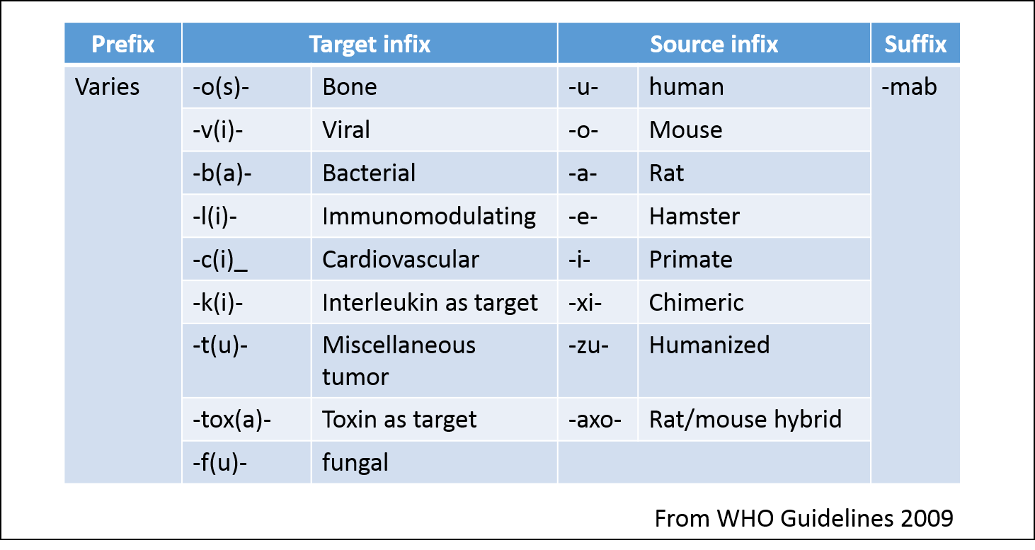 Monoclonal Antibodies - All You Need To Know About Antibody Generation ...