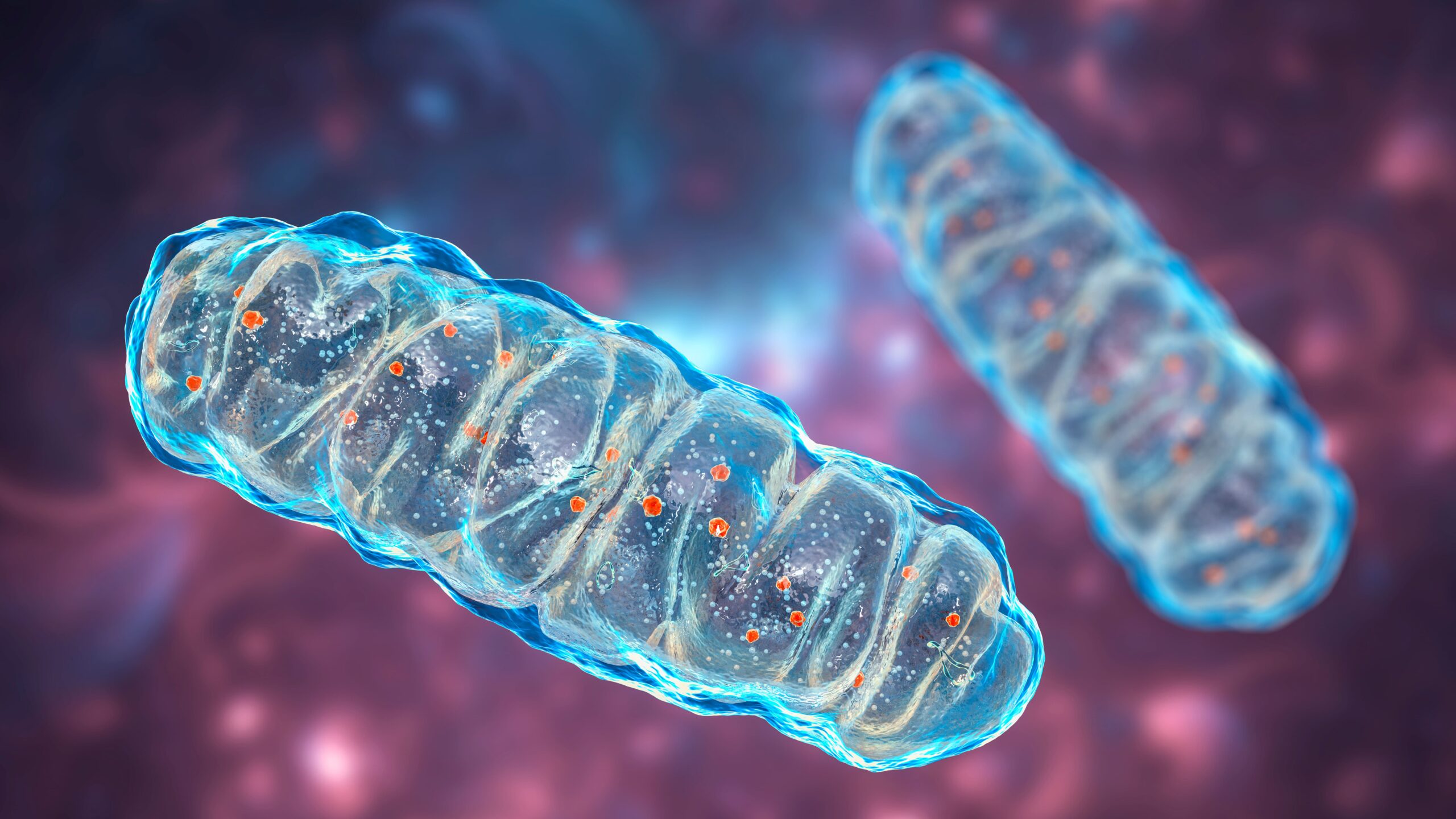 7 Ways to Protect Your Mitochondria