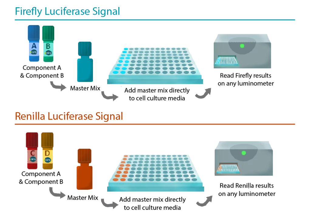 One step and Two step systems