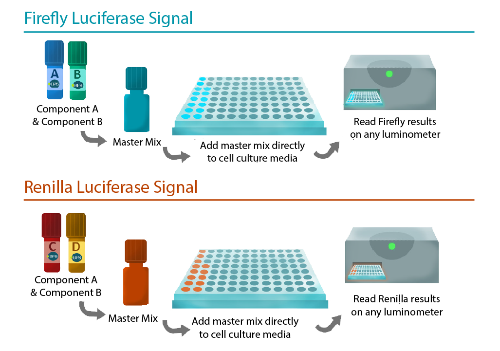 One step and Two step systems