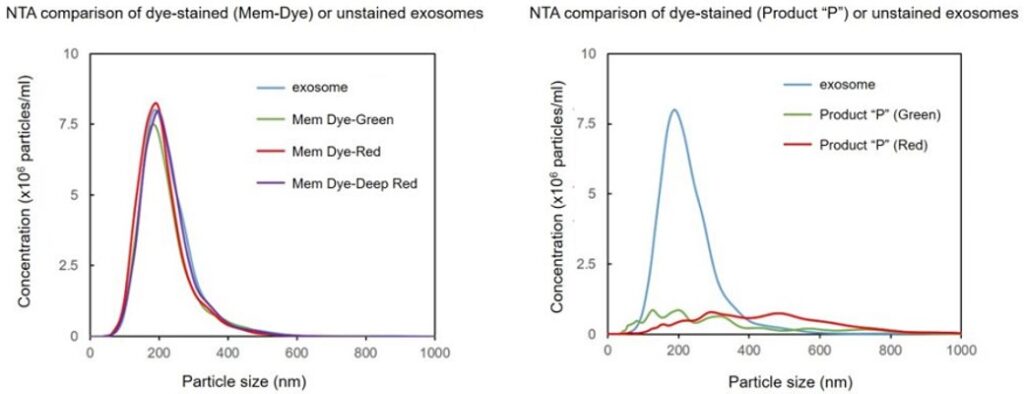 NTA comparison of dye-stained or unstained exosomes