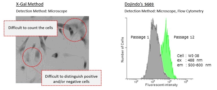 Highlight illustration DOJINDO - Senescence X-Gal Method vs Dojindo's Method