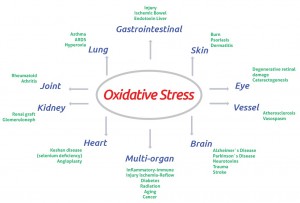 Oxidative stress - kits to measure the anti-oxidative potential of samples