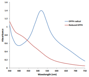 DPPH curve