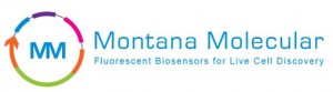 Montana logo 2