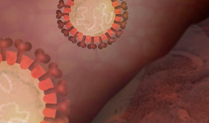 Three new pseudoviruses for SARS-CoV-2 studies