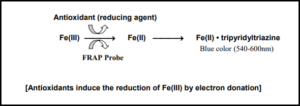 FRAP assay Principle