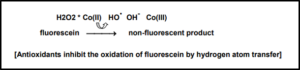 HORAC principle