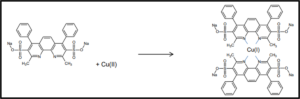 TAC-BCS principle