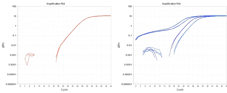 Amplification curves