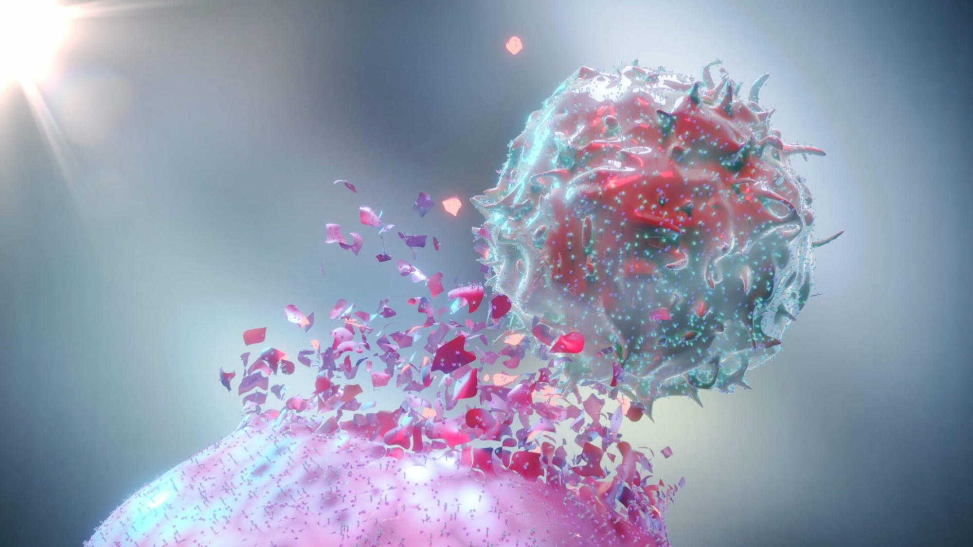 Cellular program could turn T cells into effective cancer killers