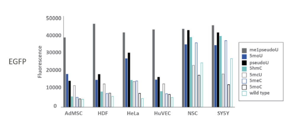 Comparison of eGFP expression levels lin 6 cell types